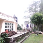IMG20151112124916