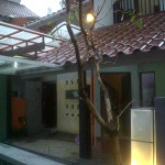IMG01899-20100930-1724